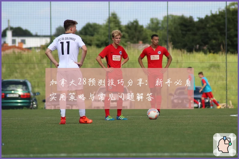 加拿大28预测技巧分享：新手必看实用策略与常见问题解答