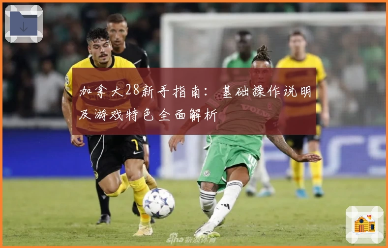 加拿大28新手指南:基础操作说明及游戏特色全面解析