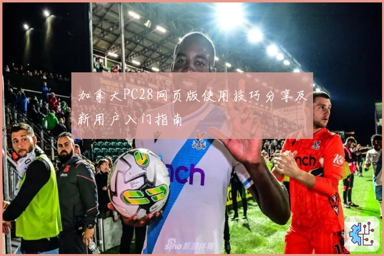 加拿大PC28网页版使用技巧分享及新用户入门指南