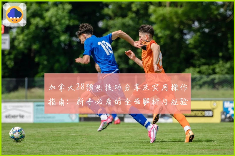 加拿大28预测技巧分享及实用操作指南：新手必看的全面解析与经验总结