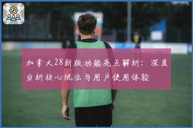 加拿大28新版功能亮点解析：深度分析核心玩法与用户使用体验