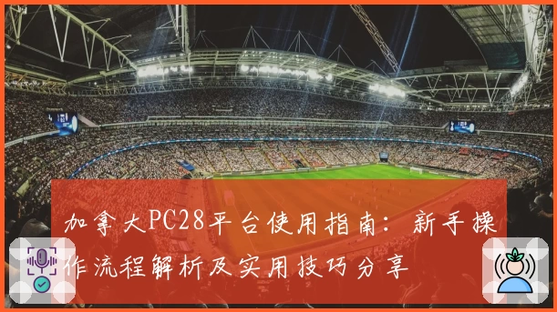 加拿大PC28平台使用指南：新手操作流程解析及实用技巧分享