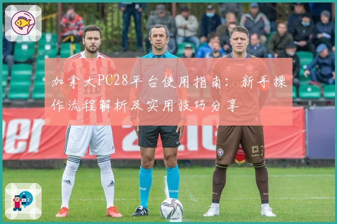 加拿大PC28平台使用指南：新手操作流程解析及实用技巧分享