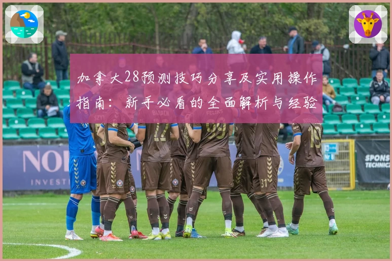 加拿大28预测技巧分享及实用操作指南：新手必看的全面解析与经验总结