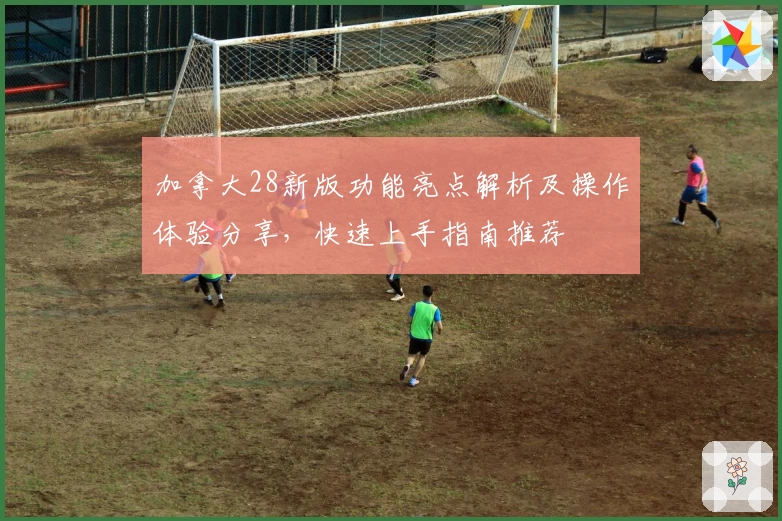 加拿大28新版功能亮点解析及操作体验分享，快速上手指南推荐