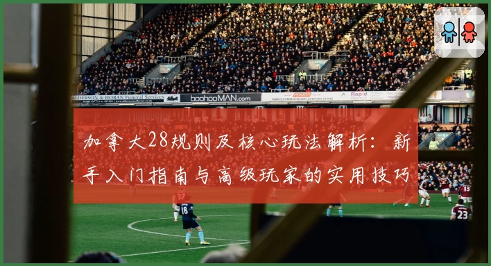 加拿大28规则及核心玩法解析：新手入门指南与高级玩家的实用技巧分享
