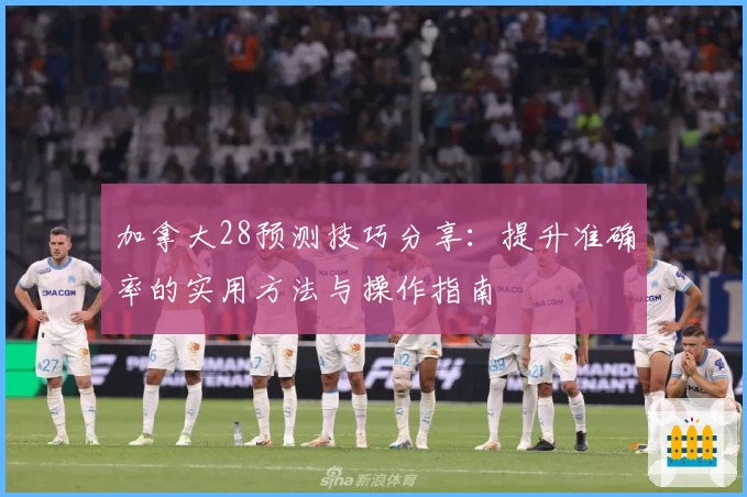 加拿大28预测技巧分享：提升准确率的实用方法与操作指南