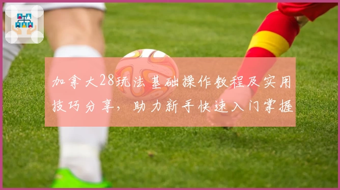 加拿大28玩法基础操作教程及实用技巧分享，助力新手快速入门掌握核心规则